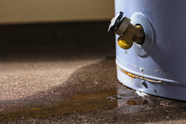 Best Water damage restoration near me  in Ephraim, UT