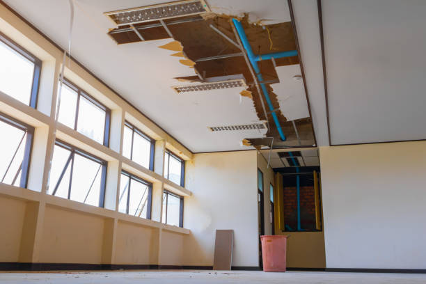 Best Carpet water damage restoration  in Ephraim, UT