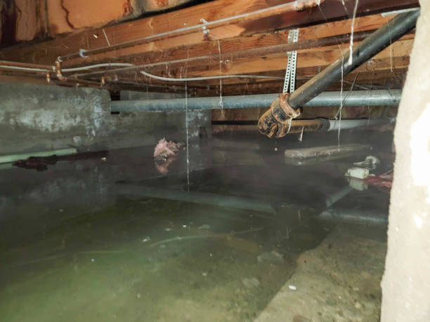 Ephraim, UT Water damage restoration Pros