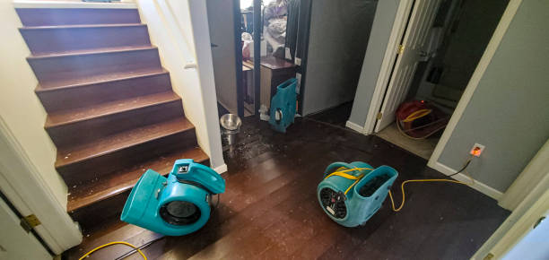 Best Commercial water damage restoration  in Ephraim, UT