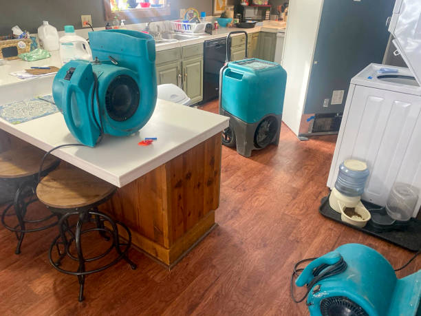 Best Basement water damage restoration  in Ephraim, UT
