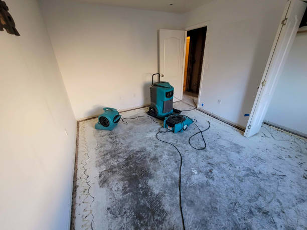 Best Carpet water damage restoration  in Ephraim, UT