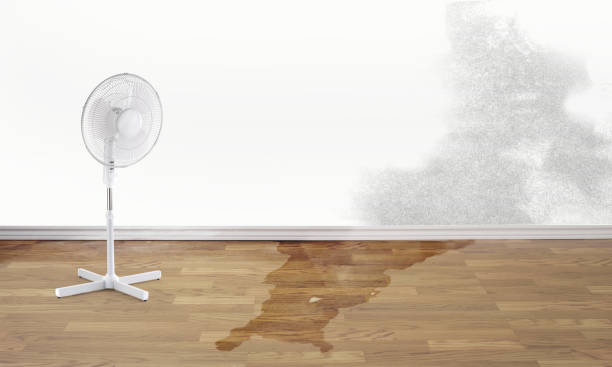 Best Basement water damage restoration  in Ephraim, UT