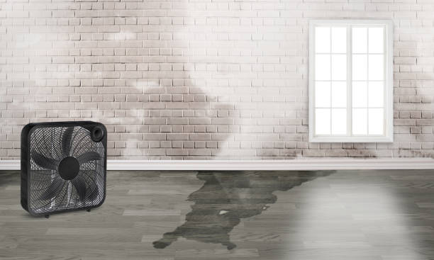 Best Water damage restoration near me  in Ephraim, UT