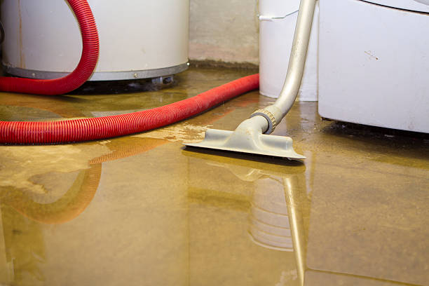 Best Water damage restoration services  in Ephraim, UT