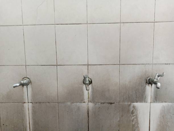 Best Water damage restoration experts  in Ephraim, UT