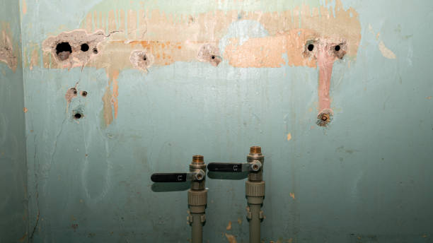 Best Fire Damage Restoration  in Ephraim, UT
