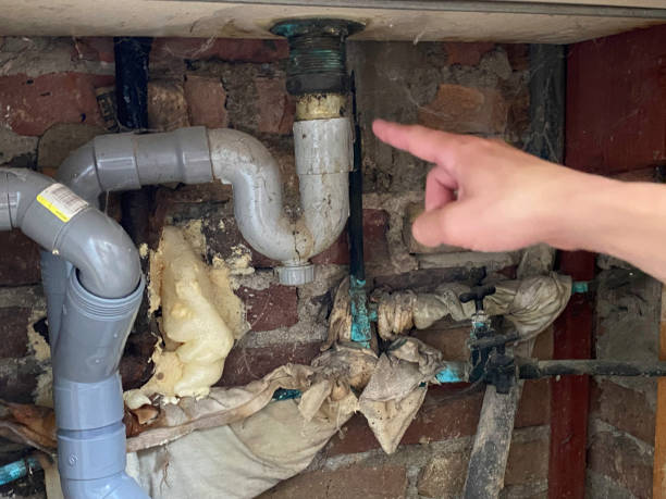 Best Ceiling water damage repair  in Ephraim, UT