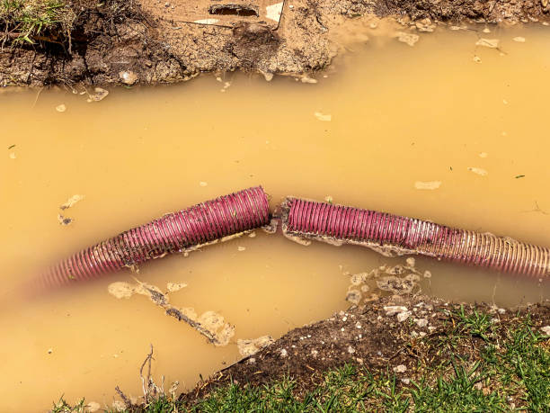 Best Water damage contractors near me  in Ephraim, UT